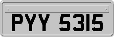 PYY5315