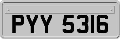 PYY5316