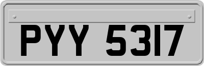 PYY5317