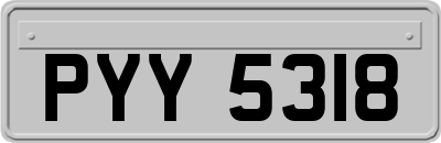 PYY5318