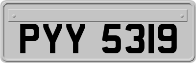 PYY5319