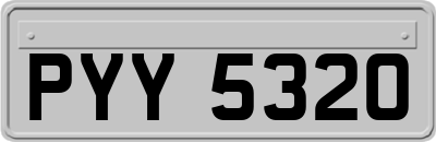 PYY5320