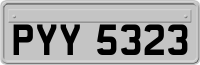 PYY5323