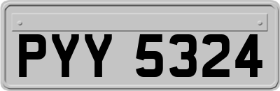 PYY5324