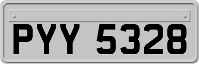 PYY5328