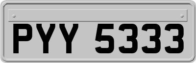 PYY5333