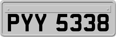 PYY5338