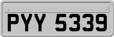 PYY5339