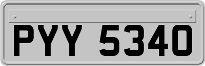 PYY5340