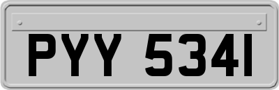 PYY5341