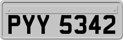 PYY5342