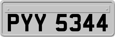PYY5344