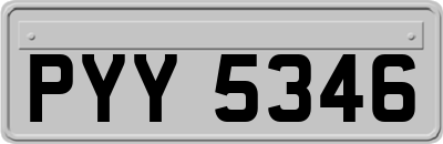 PYY5346