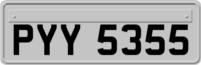PYY5355