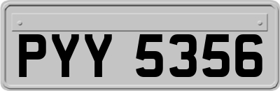 PYY5356