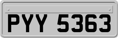 PYY5363