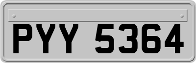PYY5364