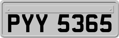 PYY5365