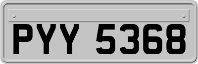 PYY5368