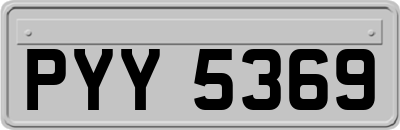 PYY5369