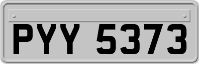 PYY5373