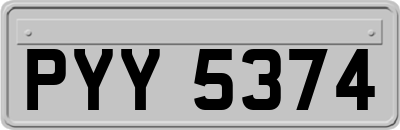 PYY5374