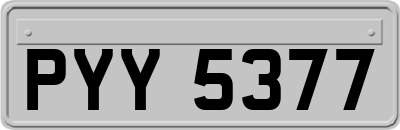 PYY5377