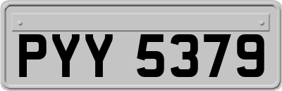 PYY5379