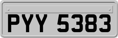 PYY5383