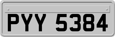 PYY5384