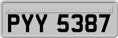 PYY5387