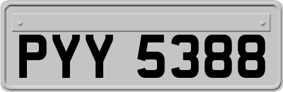 PYY5388