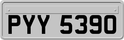 PYY5390
