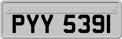 PYY5391