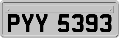 PYY5393