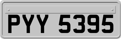 PYY5395