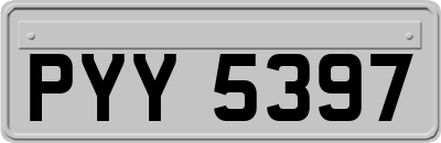 PYY5397
