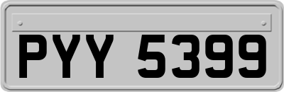 PYY5399