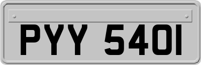 PYY5401