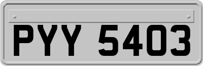 PYY5403