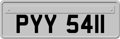 PYY5411