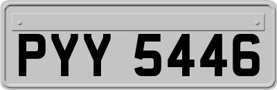 PYY5446