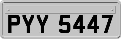 PYY5447