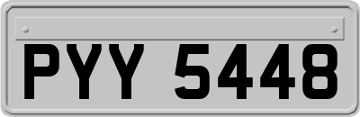 PYY5448