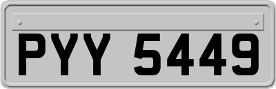 PYY5449