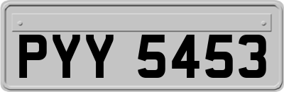 PYY5453