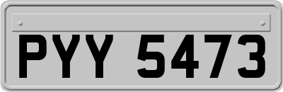 PYY5473