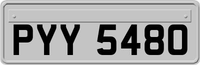 PYY5480