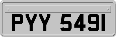 PYY5491