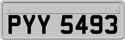 PYY5493